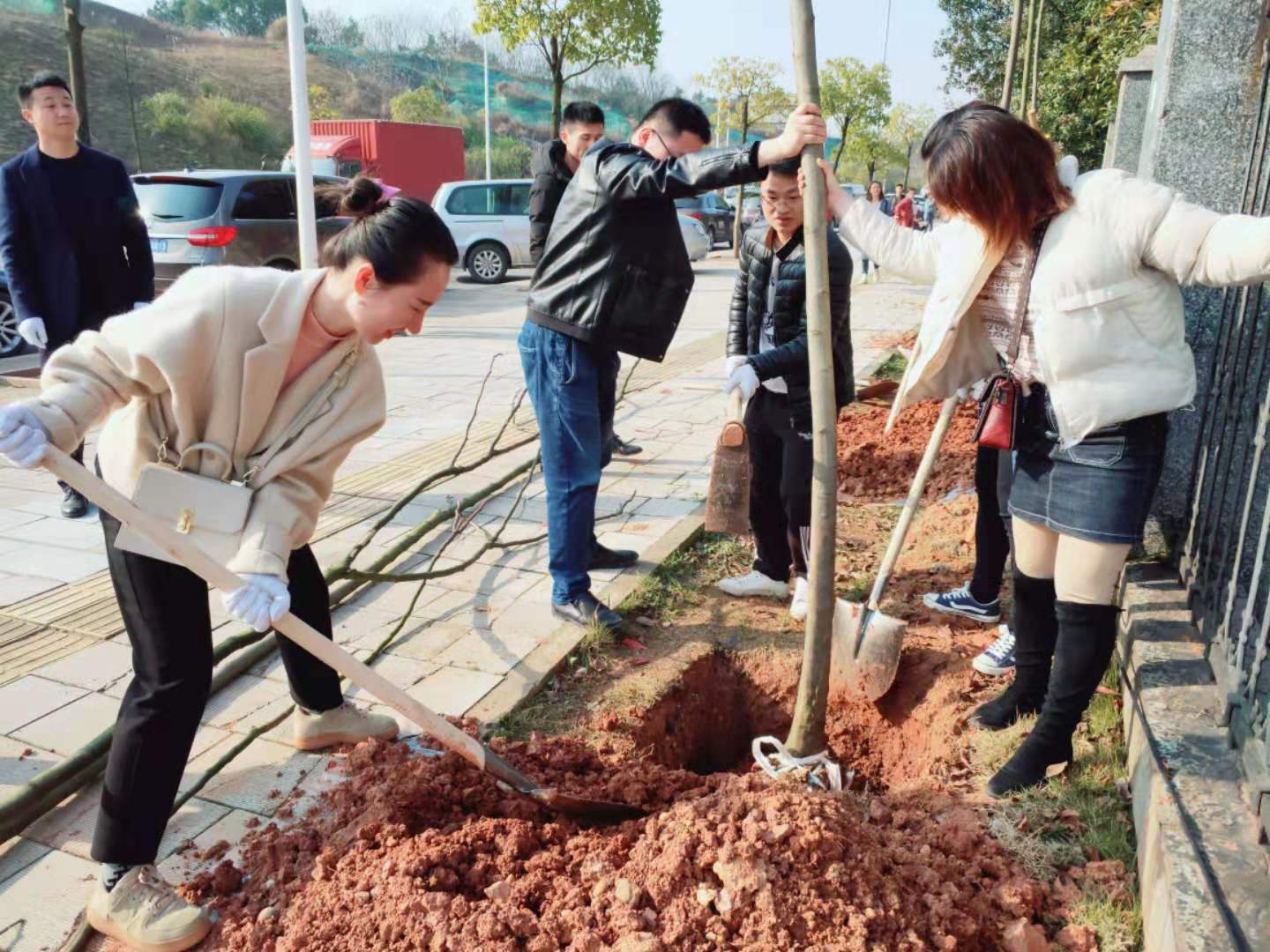 植樹節(jié)活動